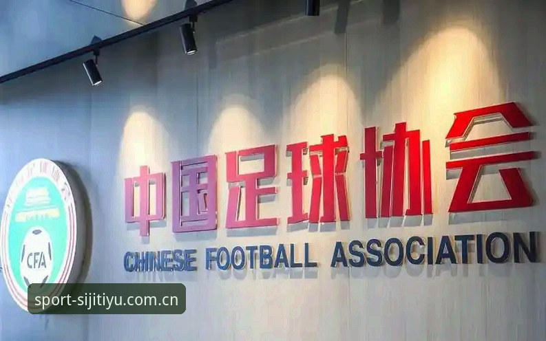 四季体育怎么下载 足球圈大清洗后的观赛实用指南——从足协第三批禁足名单看赛事直播必备知识